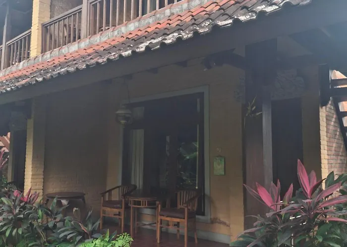 Rice Paddy Ubud