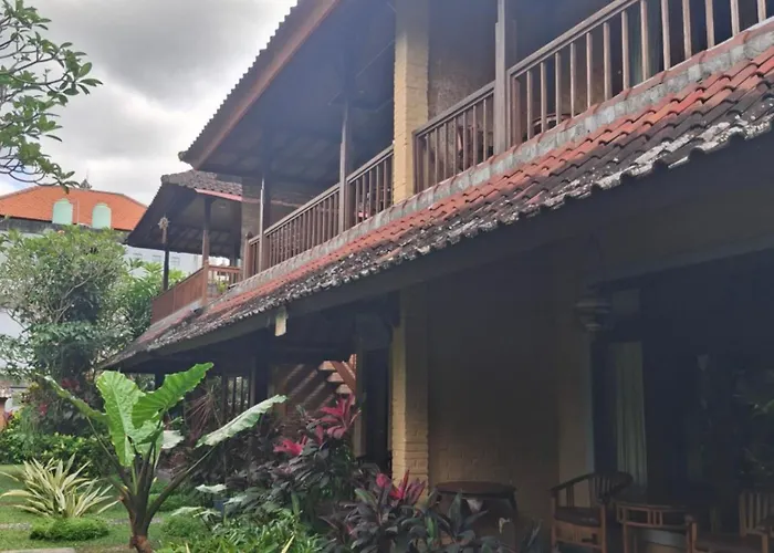 Rice Paddy Ubud
